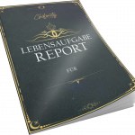 Produktansicht Lebensaufgabe-Report